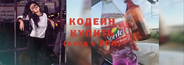 молекула духа Майский
