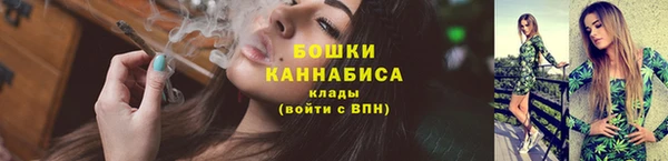 индика Магадан