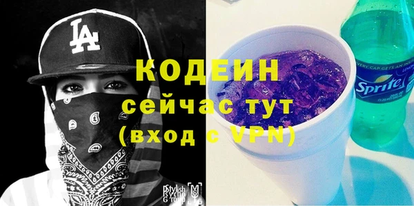 молекула духа Майский
